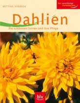 Dahlien. Die schönsten Sorten und ihre Pflege