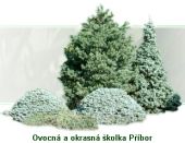  - Ovocná a okrasná školka Příbor