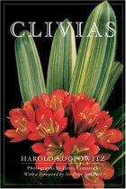 Clivias Clivias