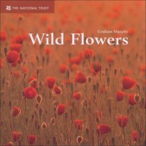 Wild Flowers Wild Flowers