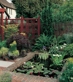 Malý rybníček - vodní plocha jako okrasný prvek (READERS DIGEST VÝBĚR)