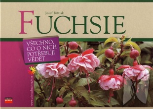 Fuchsie