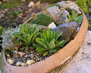 Koryto - miniskalky a okrasná koryta