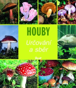 Houby - určování a sběr Houby - určování a sběr
