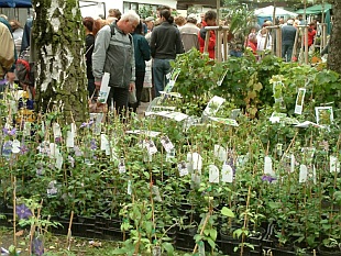 Podzimní Flora Olomouc 2008 Podzimní Flora Olomouc 2008