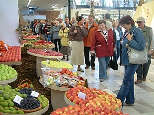 Podzimní Flora Olomouc 2008 Podzimní Flora Olomouc 2008
