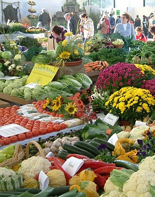 Podzimní Flora Olomouc 2008 Podzimní Flora Olomouc 2008