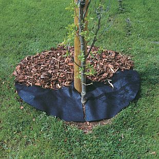 Protiplevelová textilie WeedSeal - použití u stromů (FIBERTEX) Protiplevelová textilie WeedSeal - použití u stromů (FIBERTEX)