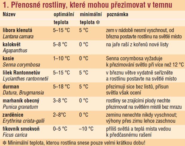 Přenosné rostliny, které mohou přezimovat v temnu