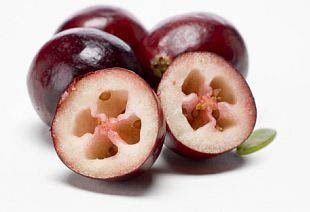 Vaccinium macrocarpon - cranberries, americké brusinky (CRANBERRIES-USA) Vaccinium macrocarpon - cranberries, americké brusinky (CRANBERRIES-USA)