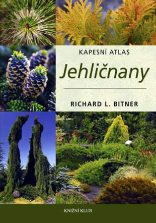 Jehličnany Jehličnany