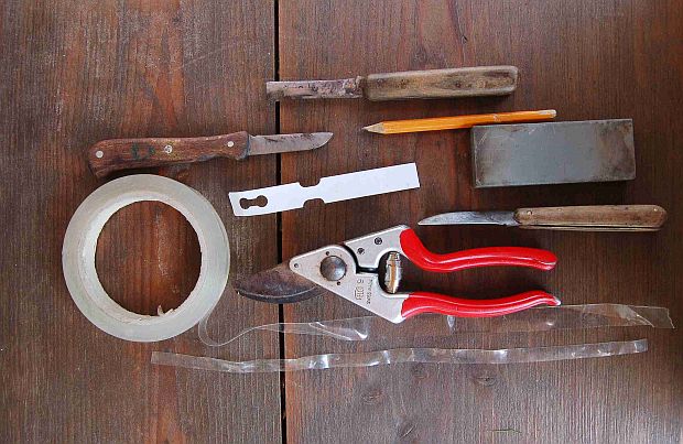 Roubování: Nářadí a materiál, foto 4
