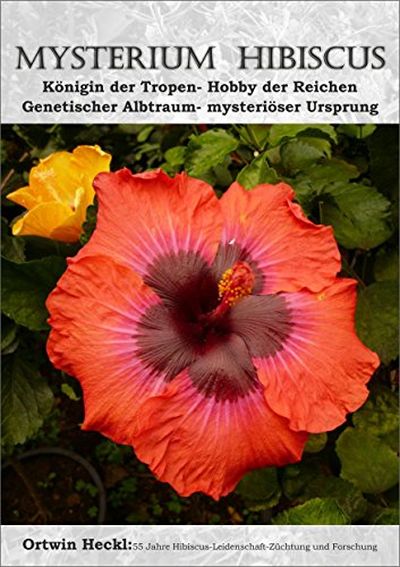 Mysterium Hibiscus