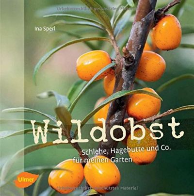 Wildobst Wildobst