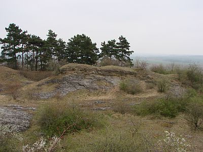 Lokalita Miroslavské kopce