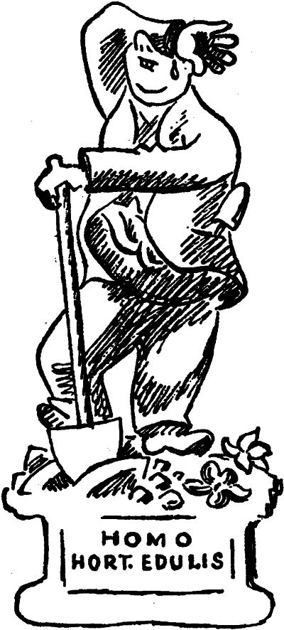 Zahradníkův listopad (KAREL ČAPEK)