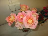 Růže 'Pink Sea' - Mnohokvěté růže (Rosa)