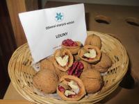 Ořešák královský 'Louny' (Juglans regia)